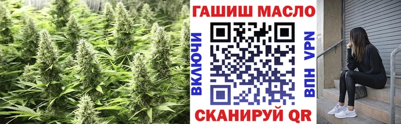 ТГК концентрат  Купить где  Орёл 