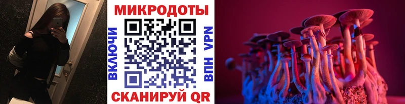 Купить  Орёл  Псилоцибиновые грибы Cubensis 